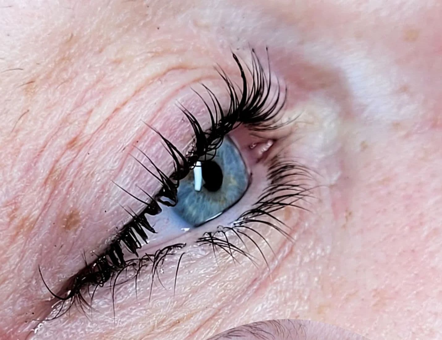 Leyna Institut — détails du studio